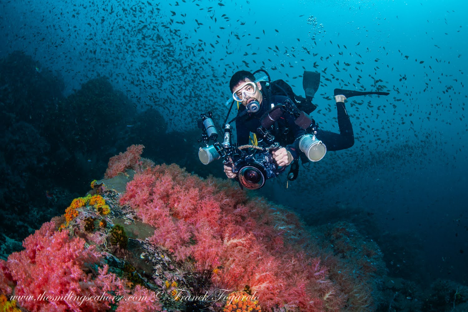 Diver hovering in perfect neutral buoyancy over soft coral