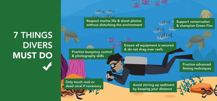 Graphic tip fin control dont kick the reef