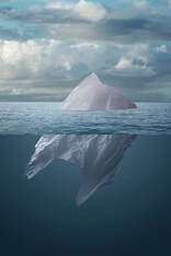 Plastic bag floating in the sea